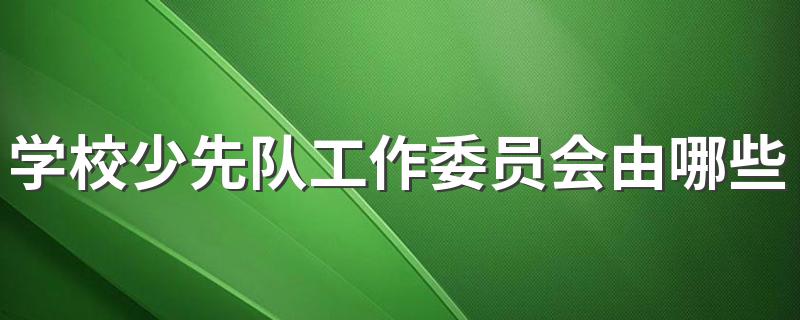 学校少先队工作委员会由哪些人员组成？ 原来这个还分大中小