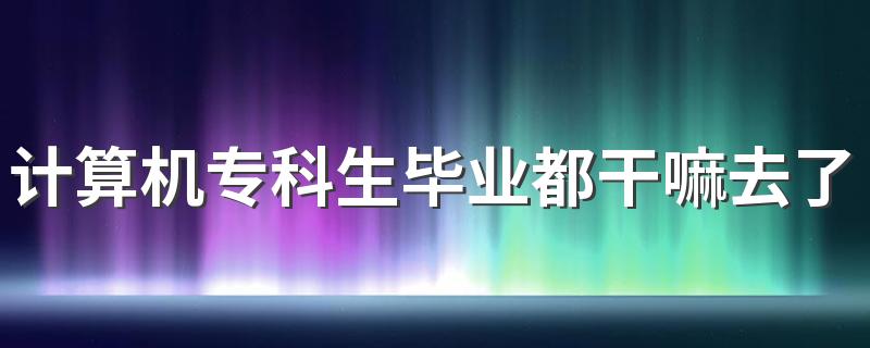 计算机专科生毕业都干嘛去了 能找什么工作