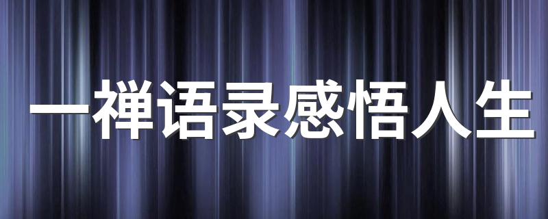 一禅语录感悟人生 感悟人生说说