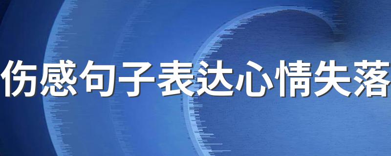 伤感句子表达心情失落 表达伤感失落的说说