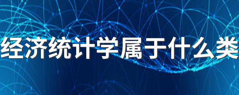 经济统计学属于什么类 学哪些课程