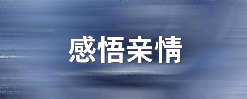 感悟亲情 整理感悟亲情作文