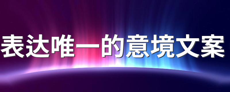 表达唯一的意境文案 你是我的唯一句子说说