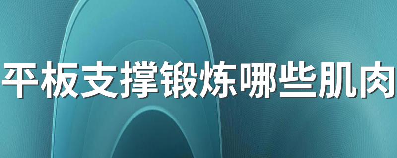 平板支撑锻炼哪些肌肉 平板支撑锻炼的肌肉简述