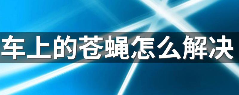 车上的苍蝇怎么解决 车上的苍蝇解决方法