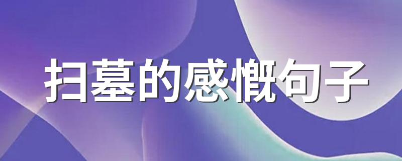 扫墓的感慨句子 扫墓的感慨句子有什么