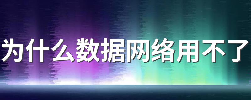 为什么数据网络用不了 试试这样做