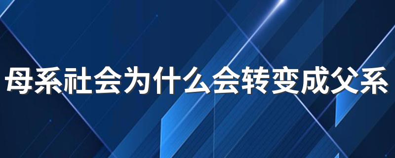 母系社会为什么会转变成父系社会