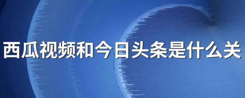 西瓜视频和今日头条是什么关系 西瓜视频是哪个公司的