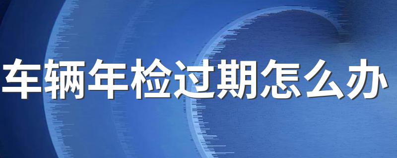 车辆年检过期怎么办 来这里学习下