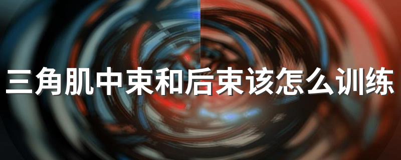 三角肌中束和后束该怎么训练 在训练三角肌后怎么做