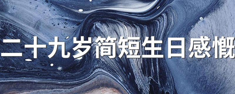 二十九岁简短生日感慨 感慨生日又老了的句子