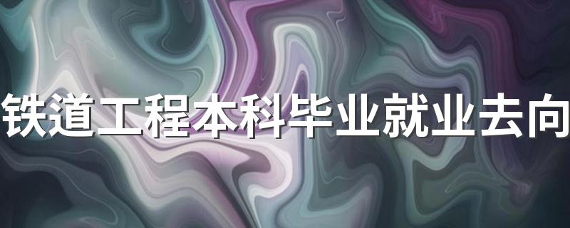 铁道工程本科毕业就业去向 都能做什么工作