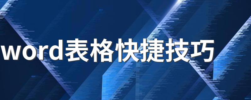 word表格快捷技巧 word表格快捷窍门