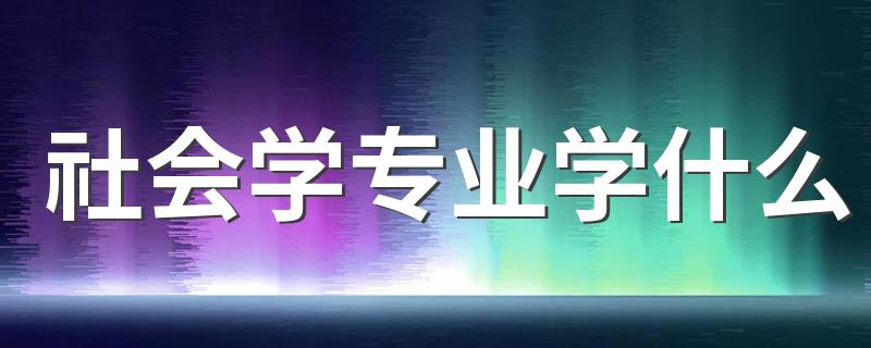 社会学专业学什么 毕业后能干什么