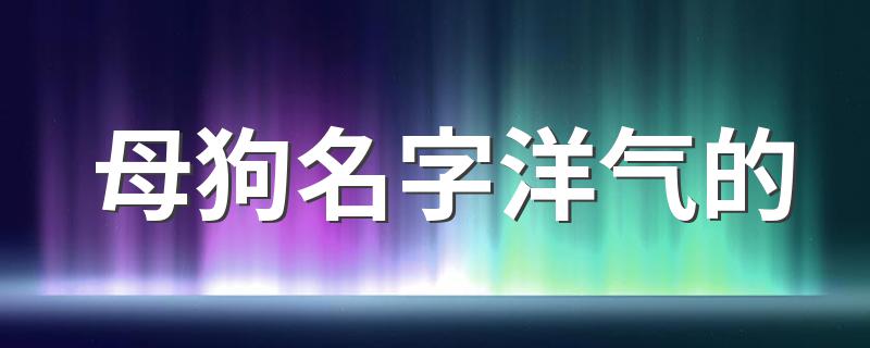 母狗名字洋气的 适合母狗的名字