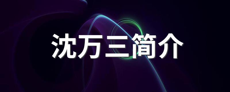 沈万三简介 关于沈万三简介