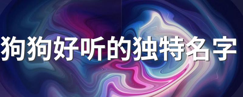 狗狗好听的独特名字 狗狗名字推荐