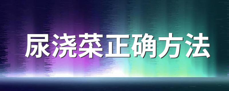 尿浇菜正确方法 怎样用尿浇菜