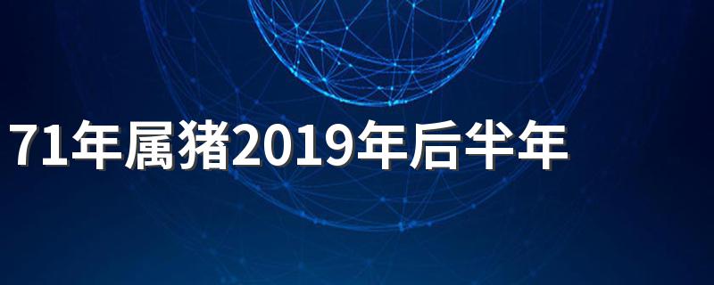 71年属猪2019年后半年运势 运势好不好