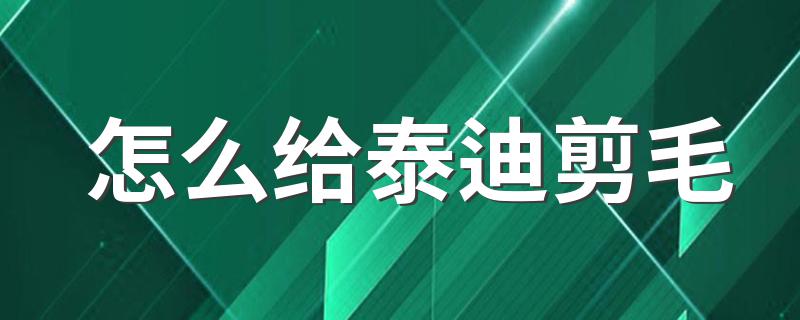 怎么给泰迪剪毛 给泰迪剪毛的方法