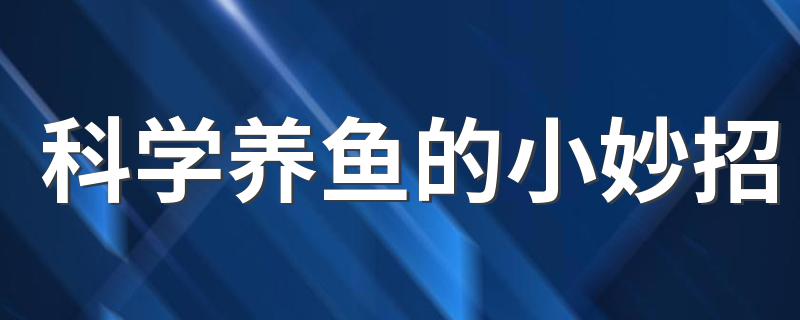 科学养鱼的小妙招 养鱼技巧的小窍门