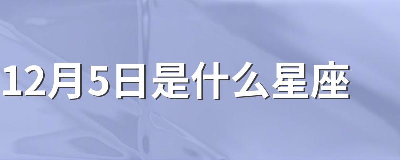 12月5日是什么星座 12月5日是射手座