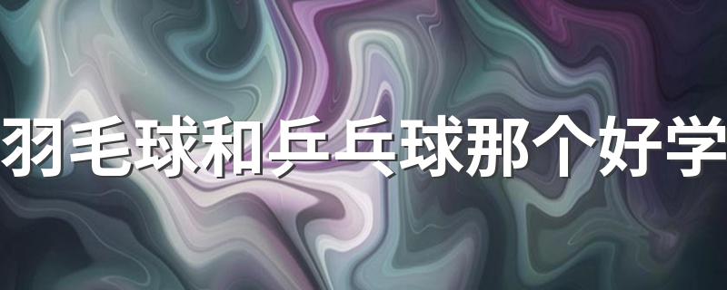 羽毛球和乒乓球那个好学 答案如下