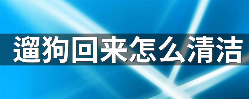 遛狗回来怎么清洁 遛完狗清理方法