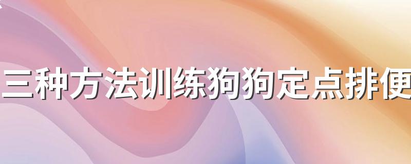 三种方法训练狗狗定点排便 三种方法训练狗狗定点排便详解