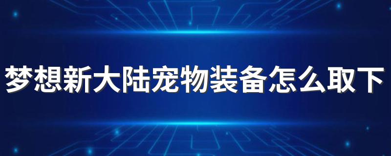 梦想新大陆宠物装备怎么取下来 梦想新大陆游戏介绍