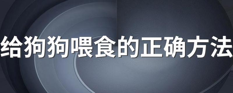 给狗狗喂食的正确方法 可以选择怎么喂狗