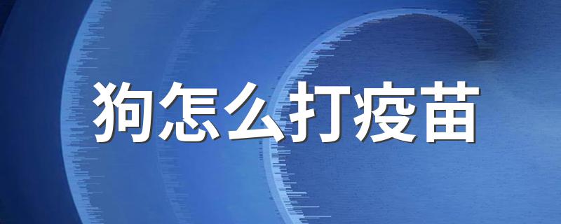 狗怎么打疫苗 狗狗怎么打疫苗比较好