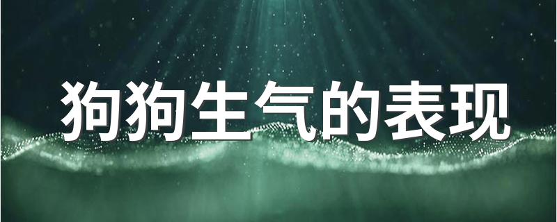 狗狗生气的表现 你知道狗狗生气什么样子吗