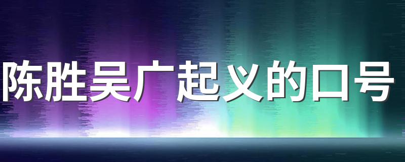 陈胜吴广起义的口号 陈胜吴广起义的口号列述