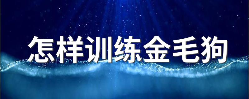 怎样训练金毛狗 训练金毛狗的方法