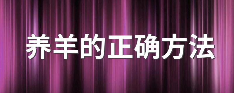 养羊的正确方法 圈养羊的正确喂养方法有哪些？