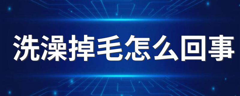 洗澡掉毛怎么回事 看看什么原因