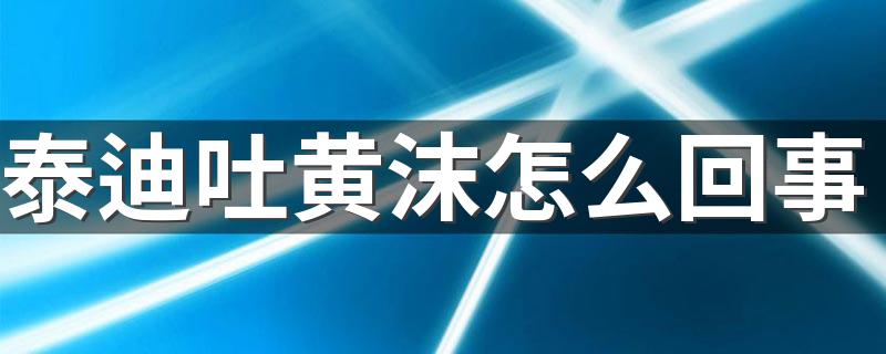 泰迪吐黄沫怎么回事 应该怎么办