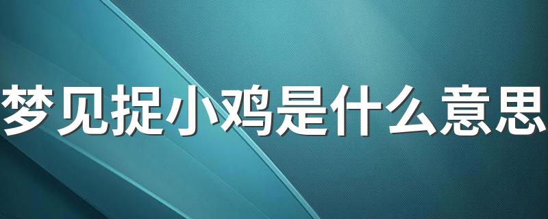 梦见捉小鸡是什么意思 有什么预兆