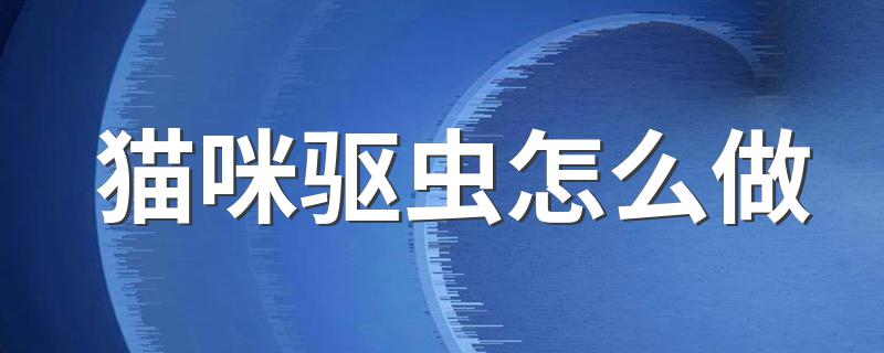 猫咪驱虫怎么做 给猫咪驱虫需要注意什么