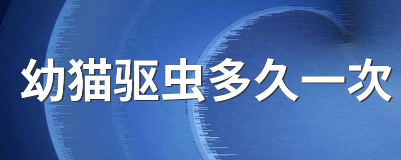 幼猫驱虫多久一次 幼猫需要多长时间驱虫