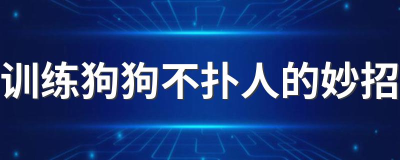 训练狗狗不扑人的妙招 如何训练狗狗不再扑人