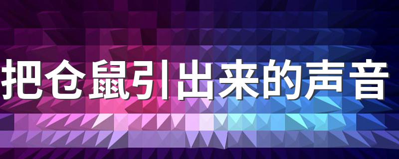 把仓鼠引出来的声音 把仓鼠引出来的声音简述