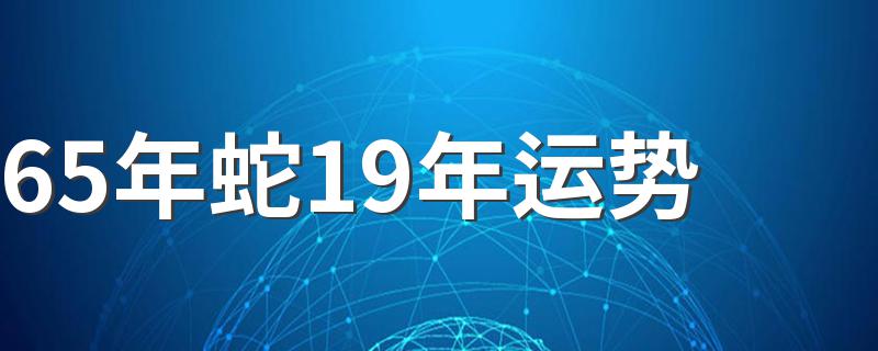 65年蛇19年运势 详细结果如下