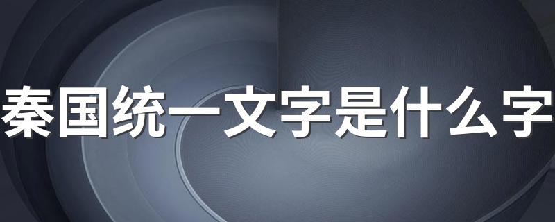 秦国统一文字是什么字 秦国统一文字解析