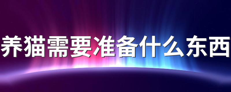 养猫需要准备什么东西 在养猫前准备什么