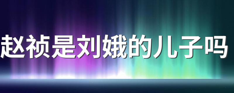 赵祯是刘娥的儿子吗 赵祯的母亲是谁呢