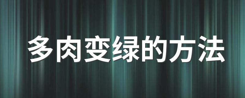 多肉变绿的方法 你不知道的3个小窍门