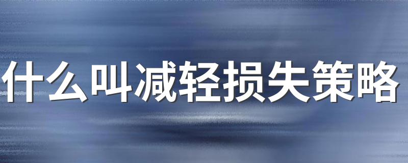 什么叫减轻损失策略 具体解释